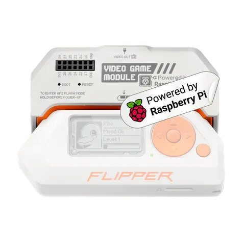 Flipper Video Game Module