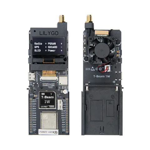 T-Beam 1W
